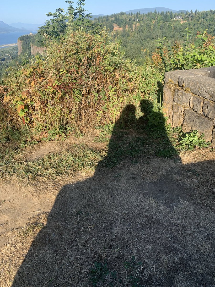 andreatypes's tweet photo. part 1 of the things i loved in portland: hiking w john ☀️ https://t.co/zxIcfiJte2