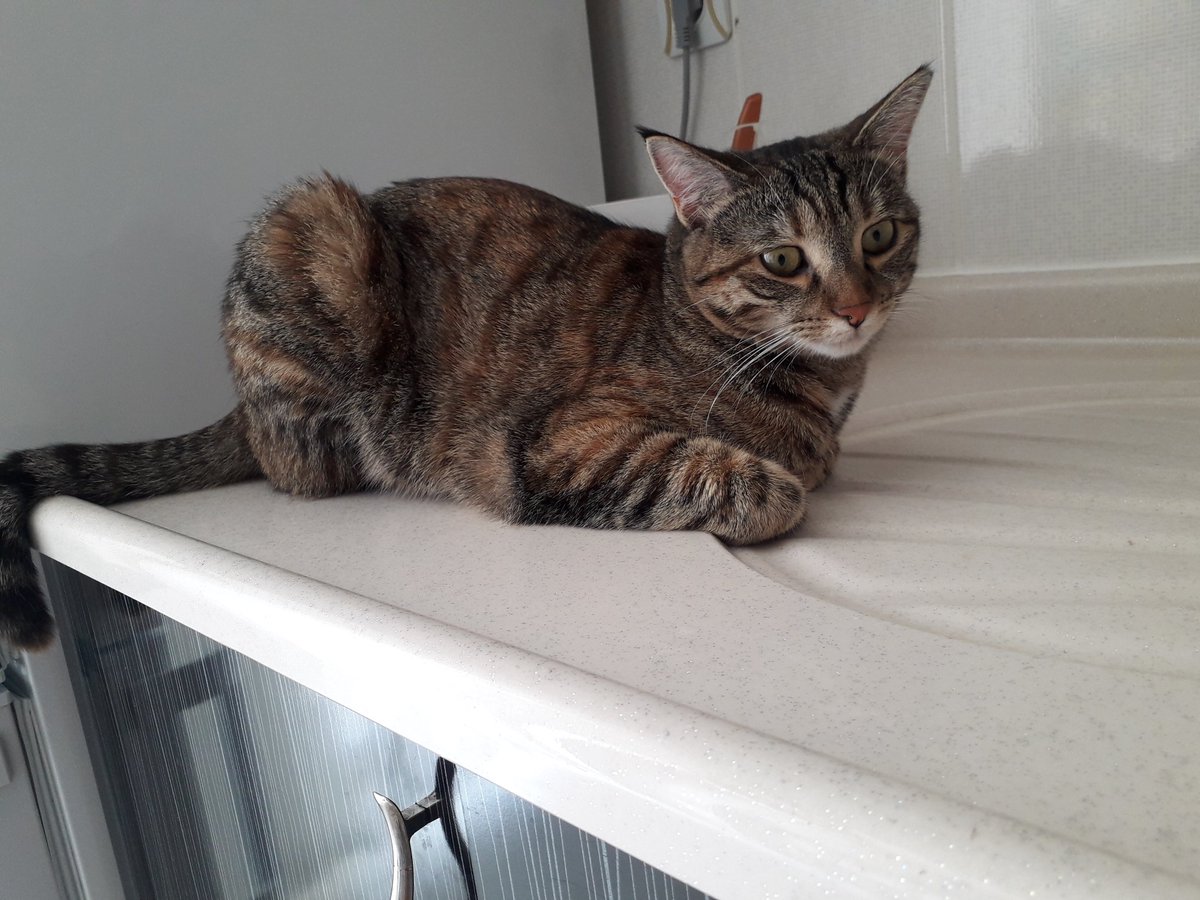 <a href="/tospikonline/">Tospik Online</a> @lfcansu <a href="/titanicrose__/">rose</a> alamızdaki yaş farkını bile ünemsemedim satece yeşin güslerini düşündüm.. yüralarımda seni gürdüm.. bu anı bekledim ve ben daha açıknamadan reddettin. beklerim gelmeni. cepimden mi gtior canımdan gtior..