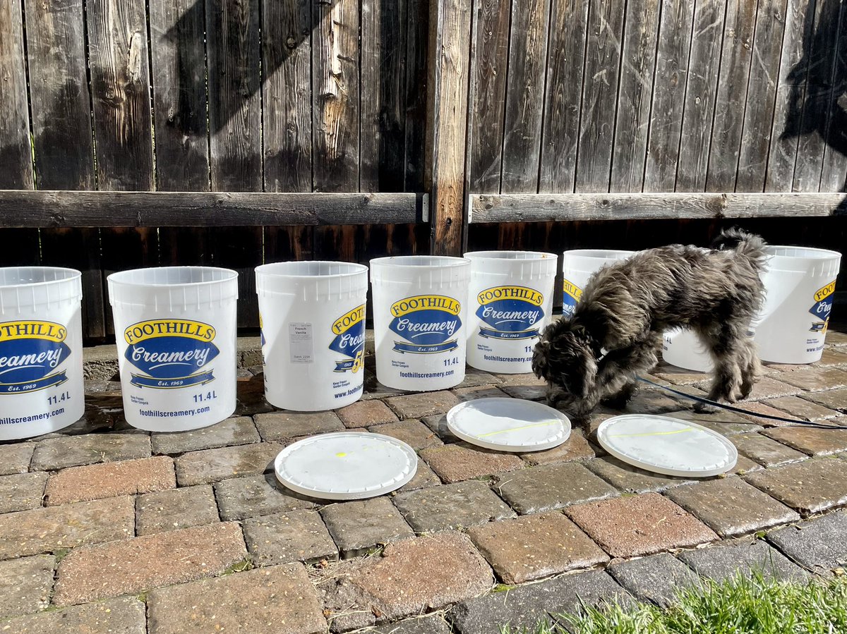 Danielle Istchenko tweet media