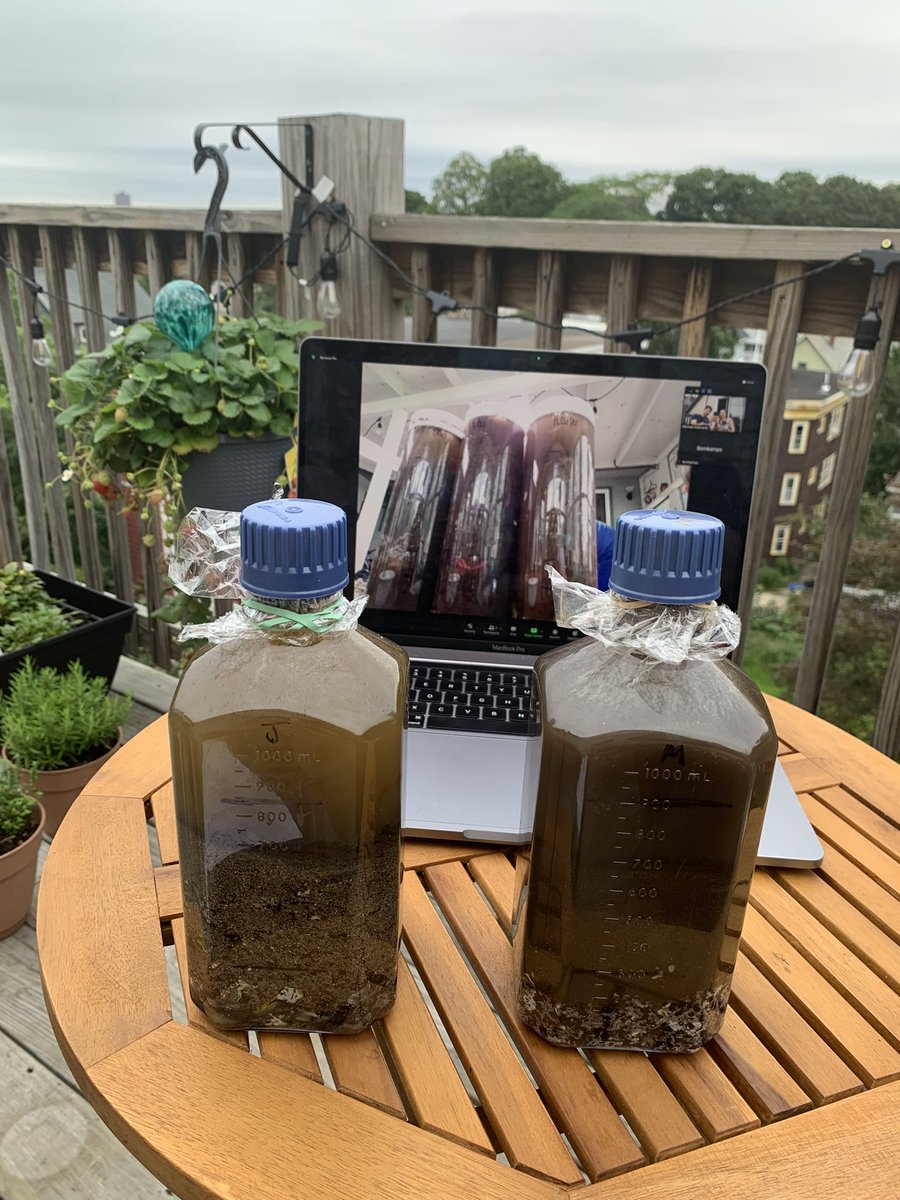 Mike Gebhardt (@microbegebhardt) on Twitter photo Made some Winogradsky columns with the niblings today! Thanks <a href="/joyfulmicrobe/">Joyful Microbe</a> for the idea!! Made some Winogradsky columns with the niblings today! Thanks <a href="/joyfulmicrobe/">Joyful Microbe</a> for the idea!!