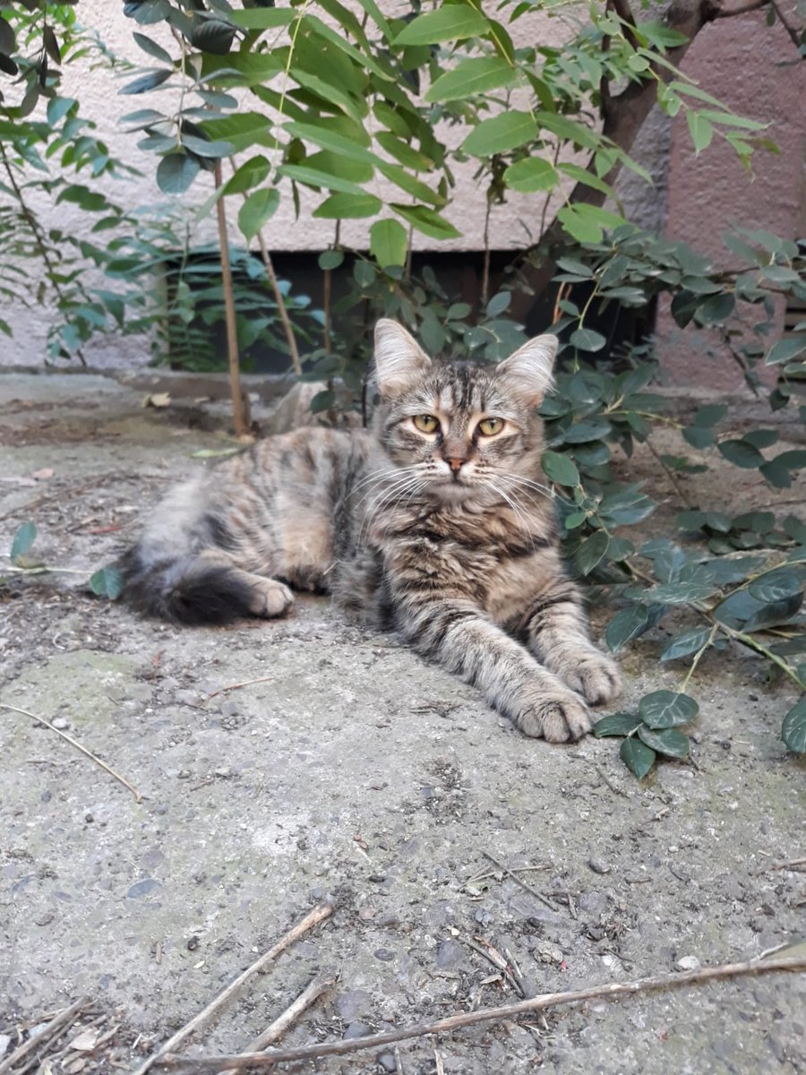 Bugünkü beslemeler sayesinde bakın kimler mutlu 🥺🤩