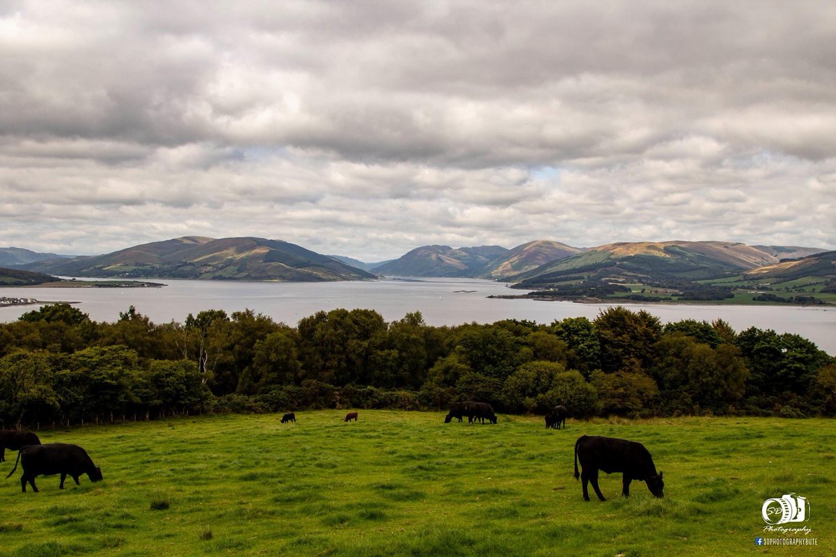 sdphotobute's tweet photo. Some picts on our walk today over Canada Hill https://t.co/vccaBKc2wr