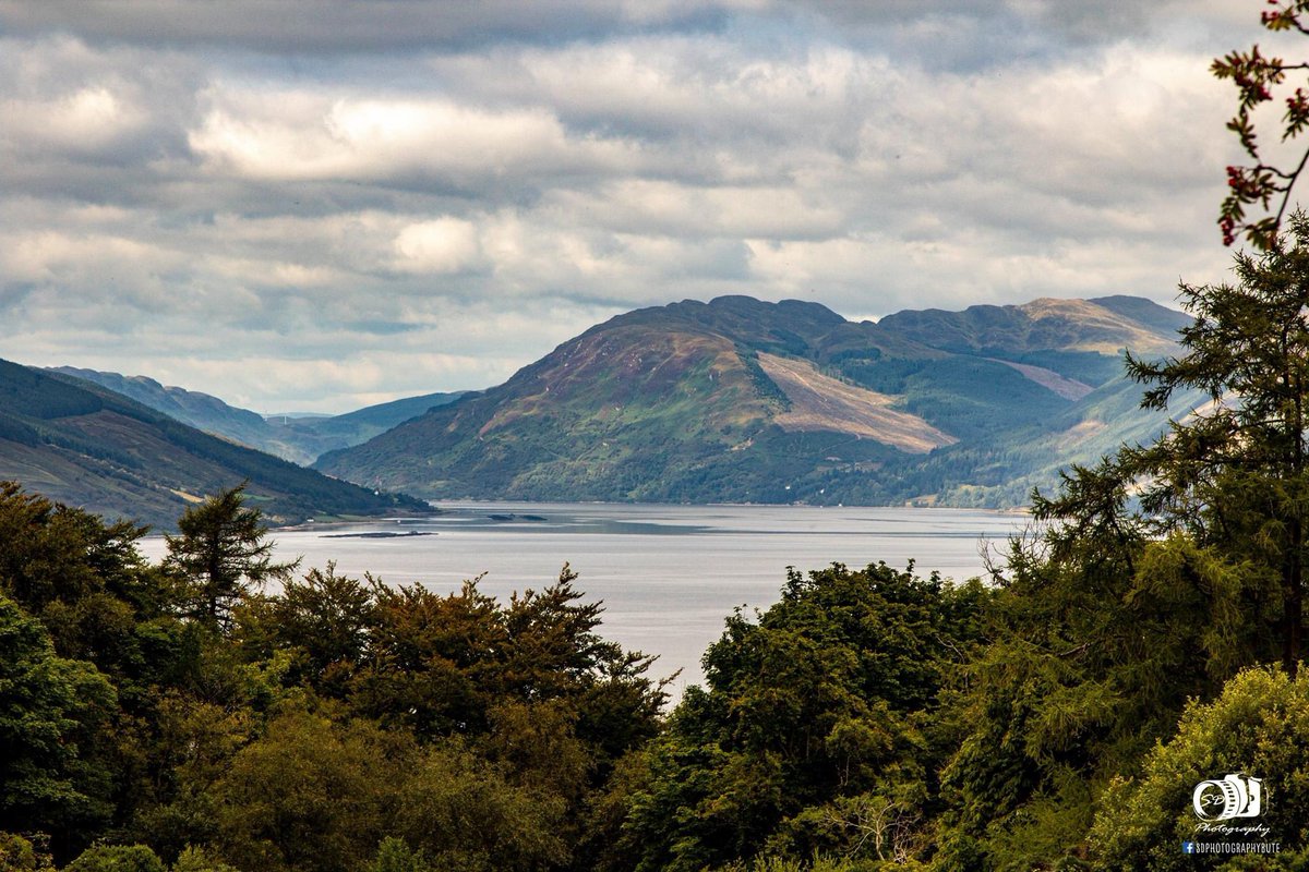 sdphotobute's tweet photo. Some picts on our walk today over Canada Hill https://t.co/vccaBKc2wr