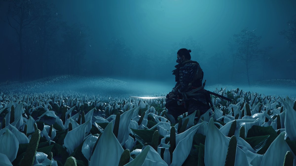 WitheredJose's tweet photo. Love the photo mode in this breathtaking game #PS5Share, #GhostofTsushimaDirectorsCut 
#GhostOfTsushima https://t.co/gMtcTHmRk0