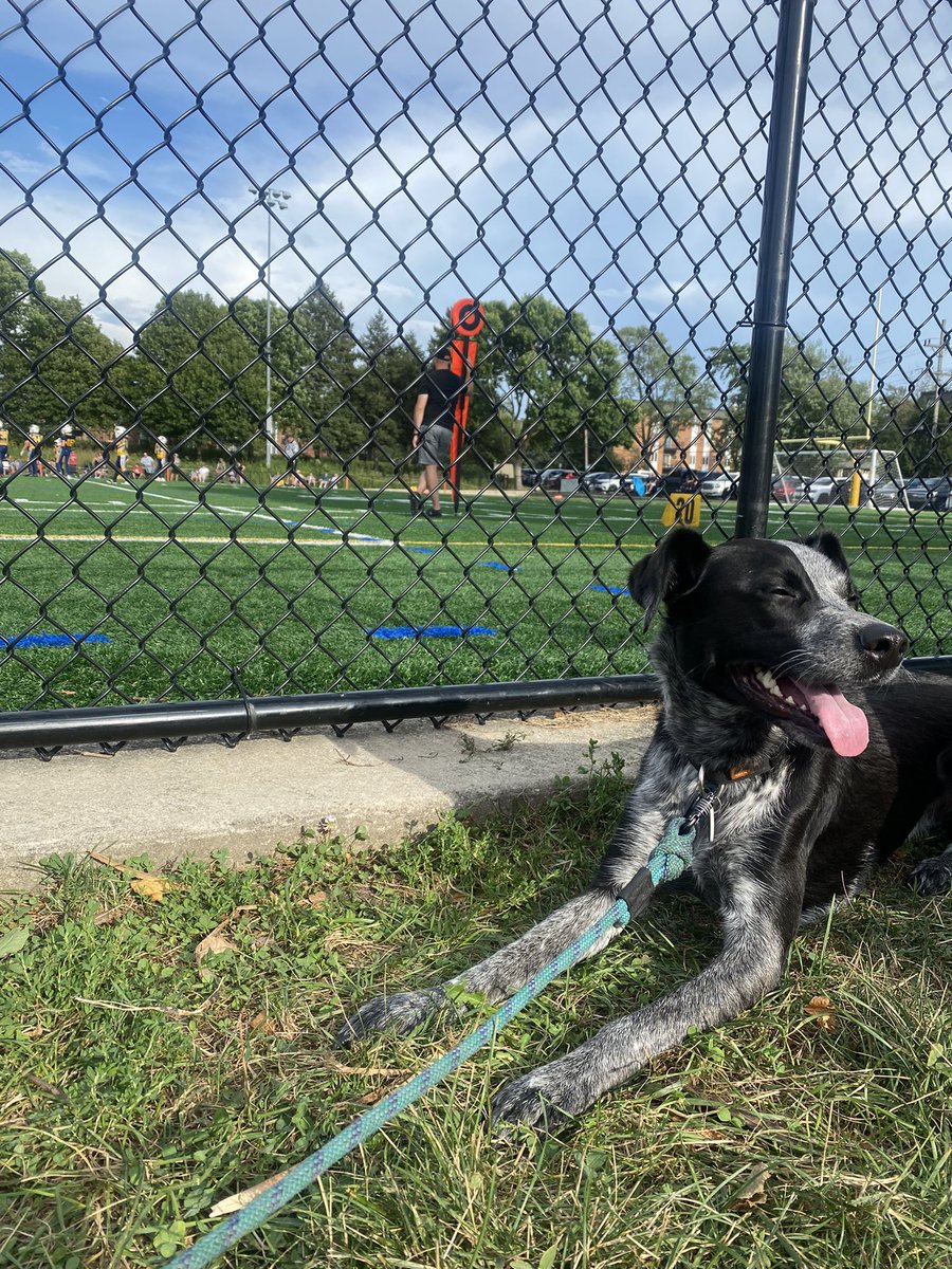 isleofartists's tweet photo. Indie says “What a great day to catch some Panthers football 🏈 “ #Dgpride https://t.co/Grp85IMOOi