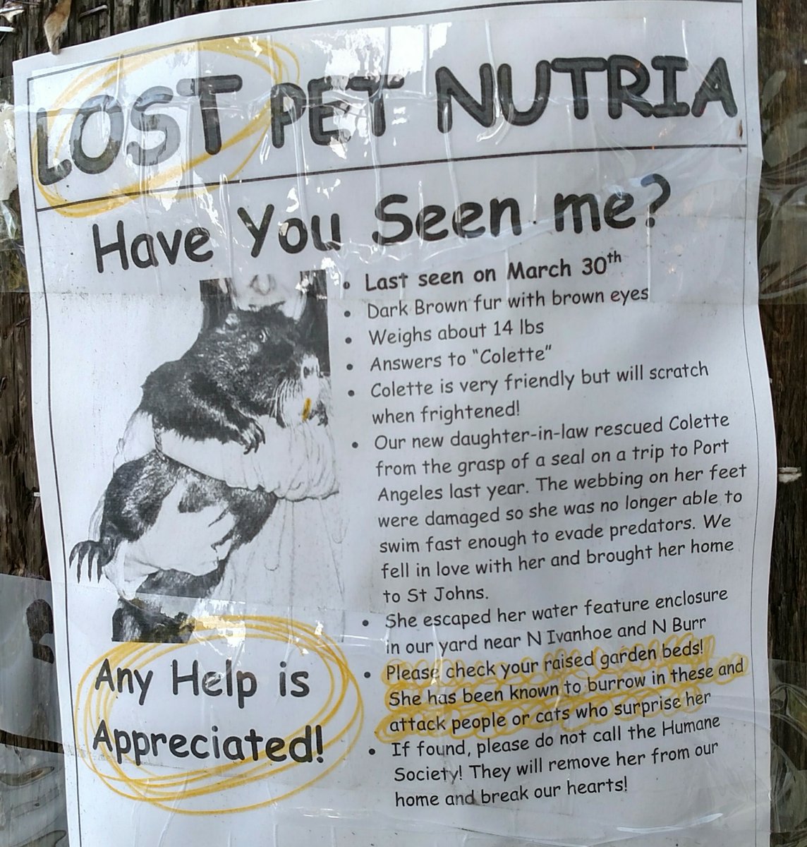 DIYinPDX's tweet photo. Sometimes I think about this poster I saw in St. Johns back in 2016, and wonder what happened to poor Collette. https://t.co/gyB5rQZbLv