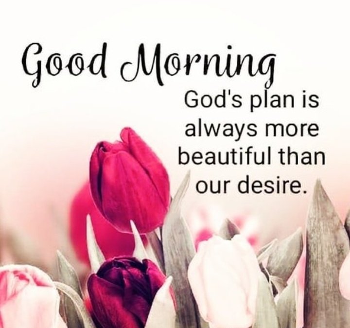 maichardbibis1's tweet photo. Happy Monday TBADN! 

Stay safe always! 

#TBADNBoycottMZETxAPT175 https://t.co/sQPd44C8fG