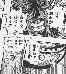 ワンピース サンジの外骨格変異とは 感情を失ってしまう可能性を考察 Selvy