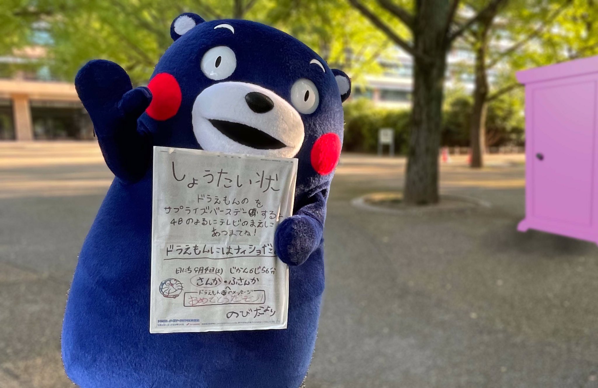 くまもん　 火曜日発送予定　木曜日午前中着指定 くまもん 火曜日発送予定 木曜日午前中着指定 くまもん 火曜日発送予定