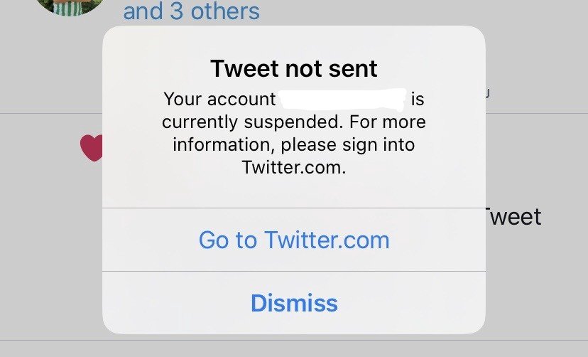 Reset password roblox. что такое емайл аккаунта. чек перевода paypal. Paypal. амазон оплатить.