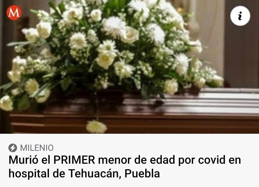 DamarisFany's tweet photo. Obligar el regreso a clases presenciales debería contar como delito. Yo no apoyaré este acto homicida. https://t.co/1YqczXbBXi