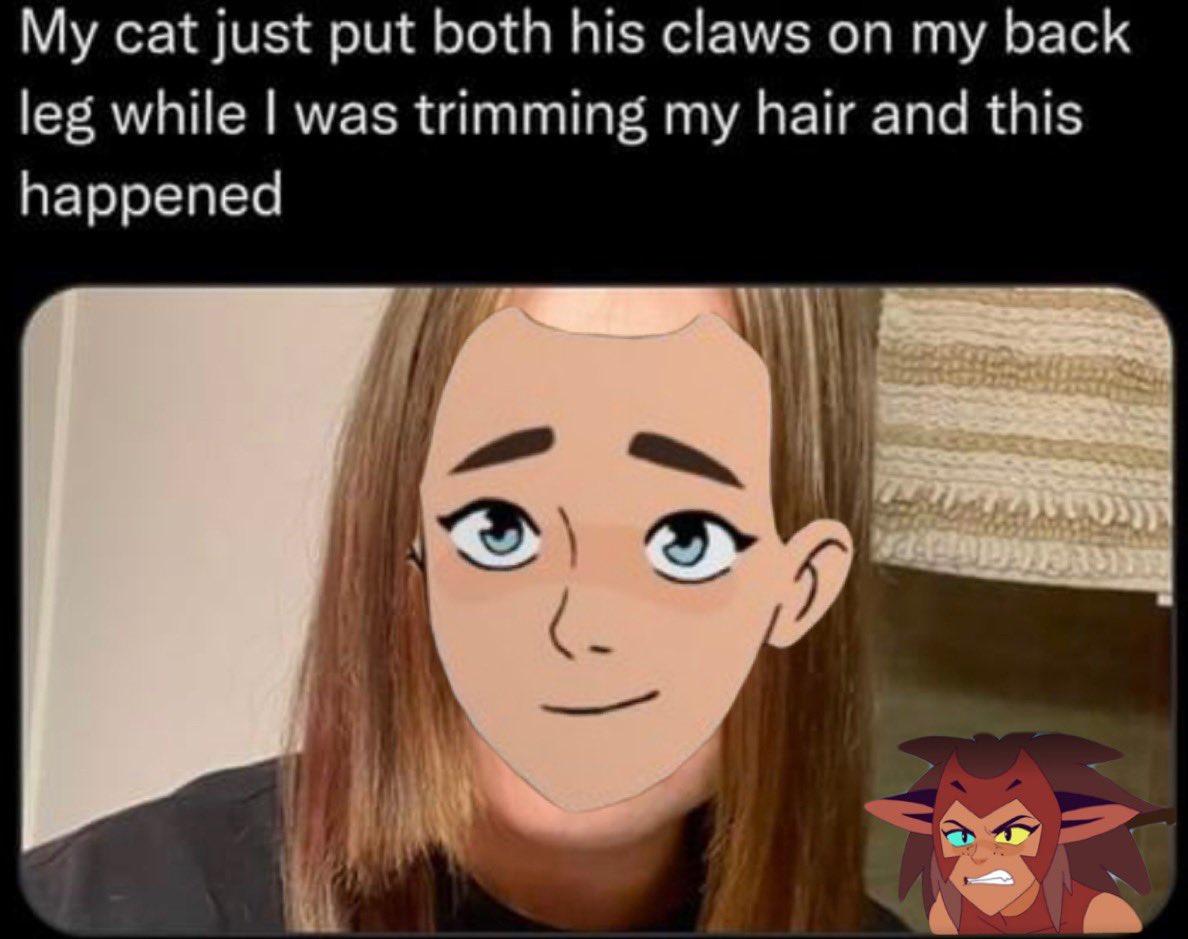 Aԃσɾα (@hxycatra) on Twitter photo 