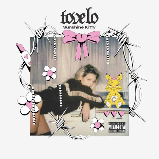 ppfercho's tweet photo. En 2020 #ToveLo nos regaló #SunshineKitty y es por mucho uno de mis álbumes favoritos y ella sin tanta parafernalia resulta una cantante con una excelente propuesta, su repertorio de 4 trabajos hasta ahora, son una excelente alternativa al pop🎤🎧🎵🎶🎙 https://t.co/lWz86Tegw1