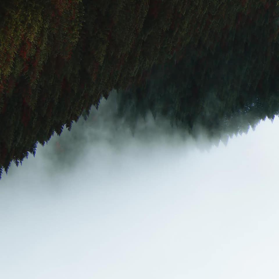 TUNED UP tweet media