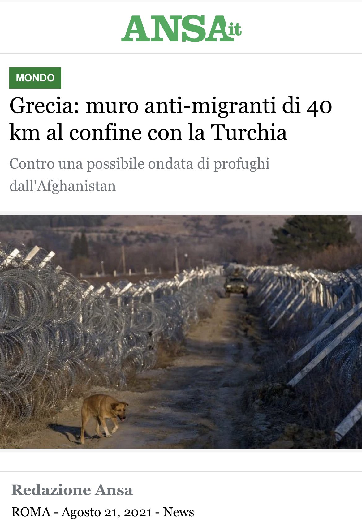 Immagine