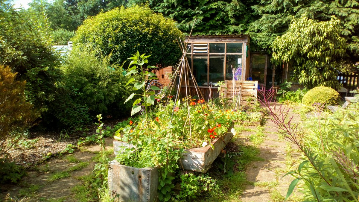 TimeUnionCov's tweet image. Photos from the Common Ground event today with @food_union. We exchanged allotment skills and then enjoyed a fantastic live set from @LucyAnneSale and delicious brownies from @the_pod_cafe. So lovely to see old and new members gathering together.