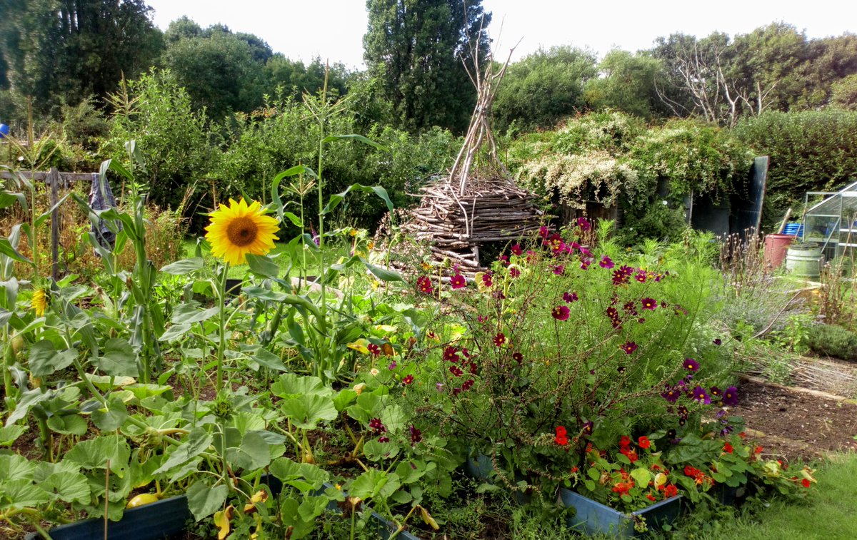 TimeUnionCov's tweet image. Photos from the Common Ground event today with @food_union. We exchanged allotment skills and then enjoyed a fantastic live set from @LucyAnneSale and delicious brownies from @the_pod_cafe. So lovely to see old and new members gathering together.