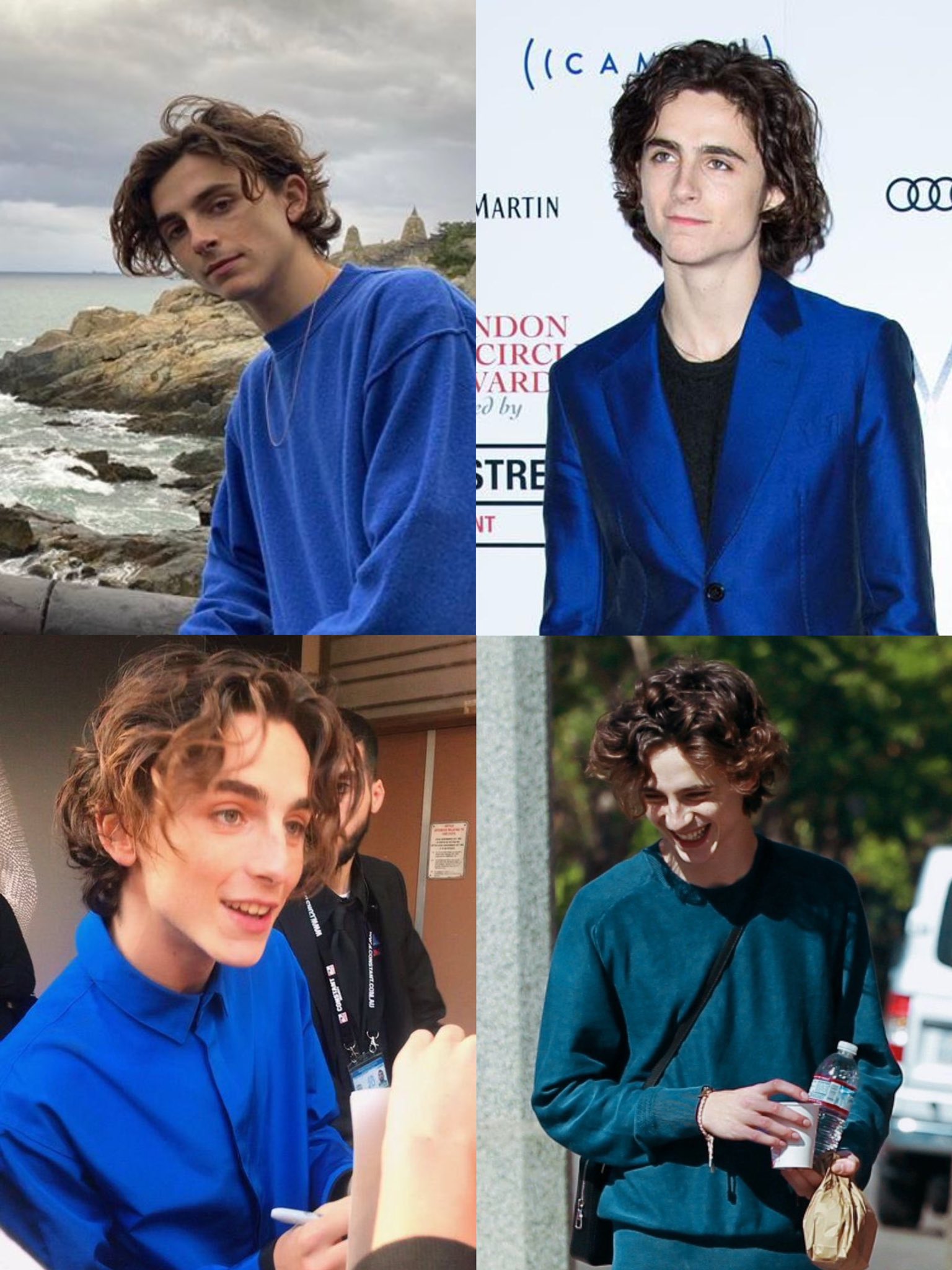 musetta - timothée chalamet daily on X: the way timothée