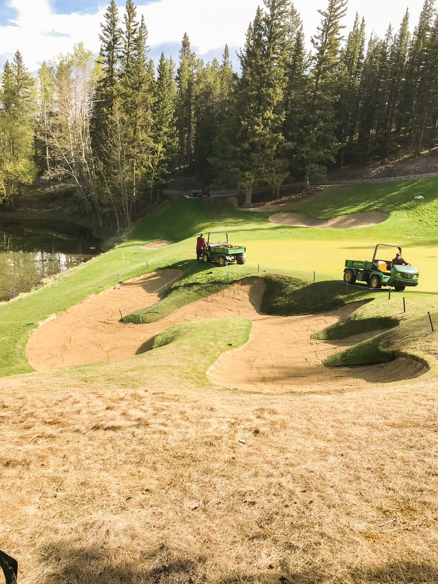 Take a look at the process of this beautiful restoration to Stanley Thompson’s vision of our bunkers. Done by our very talented Turf team. #golfinbanff #fairmontbanffsprings *More pics to follow