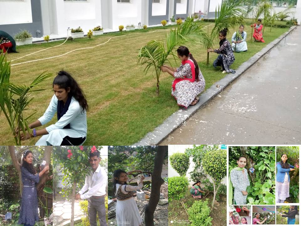 Several Higher Educational Institutions across the country celebrated "Vriksha Raksha Bandhan" on 22nd August 2021 taking the call of Mahatma Gandhi National Council of Rural Education under Ministry of Education Government of India.