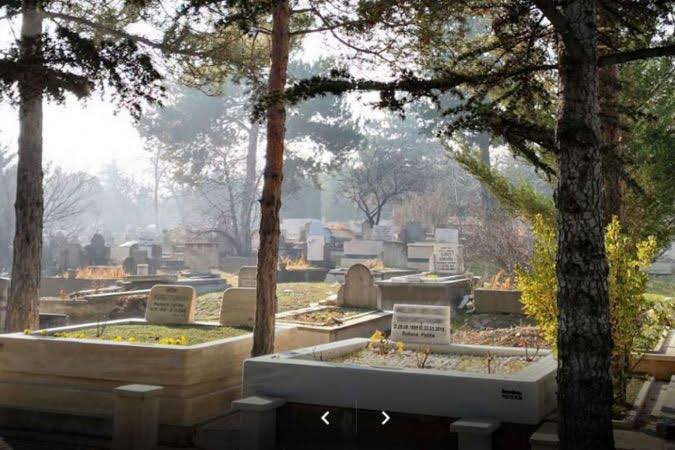 Ölenlerin değil yaşayanların yeşile ihtiyacı varken. Sadece mezarlıkların yemyeşil olması ne kadar ironik.