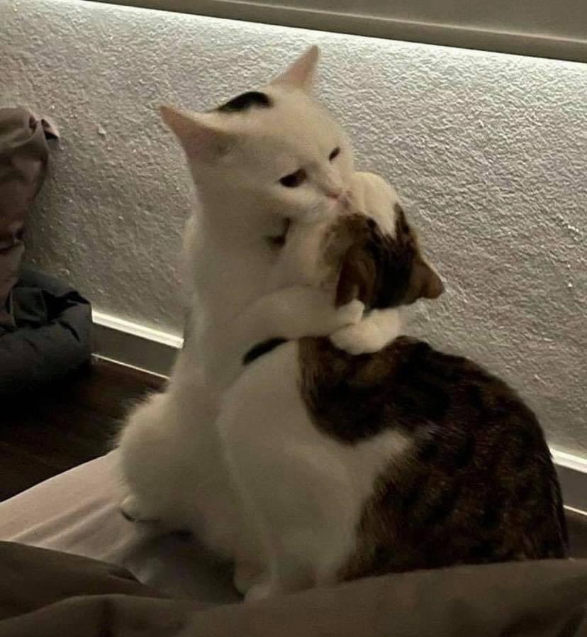 me &amp; u forever <3