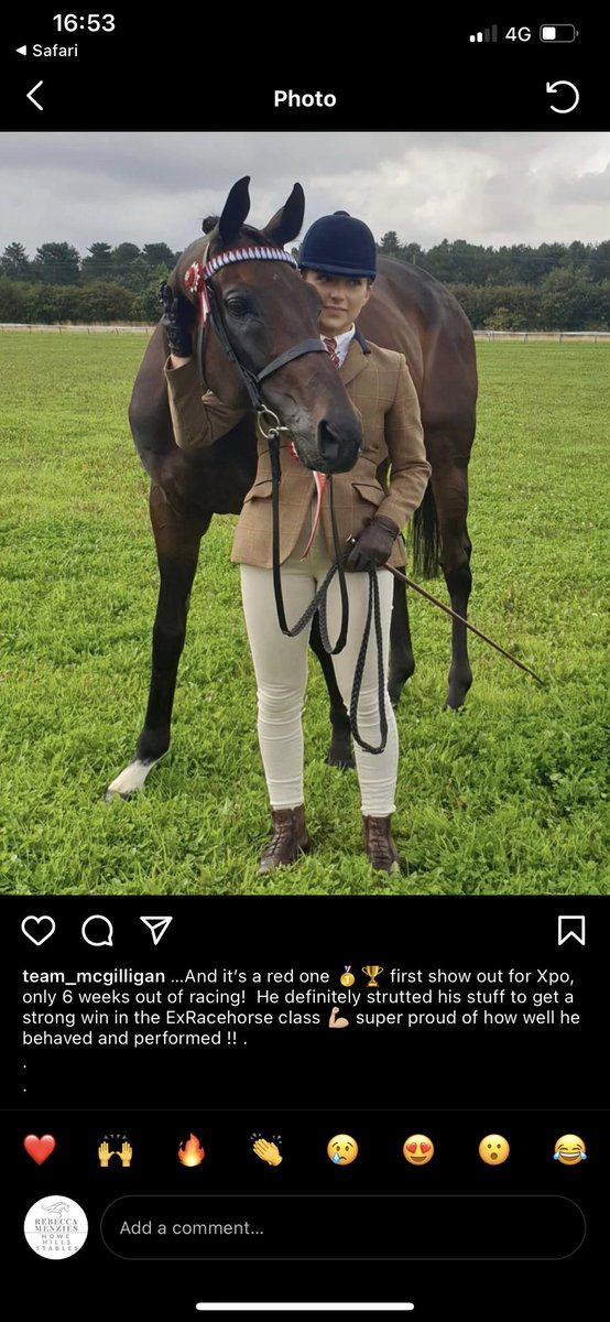 RebeccaEMenzies's tweet photo. Lovely to see Xpo Universel win his first show at the first time of asking ! #dude #ROR #tophome https://t.co/BhGKSx4u2S