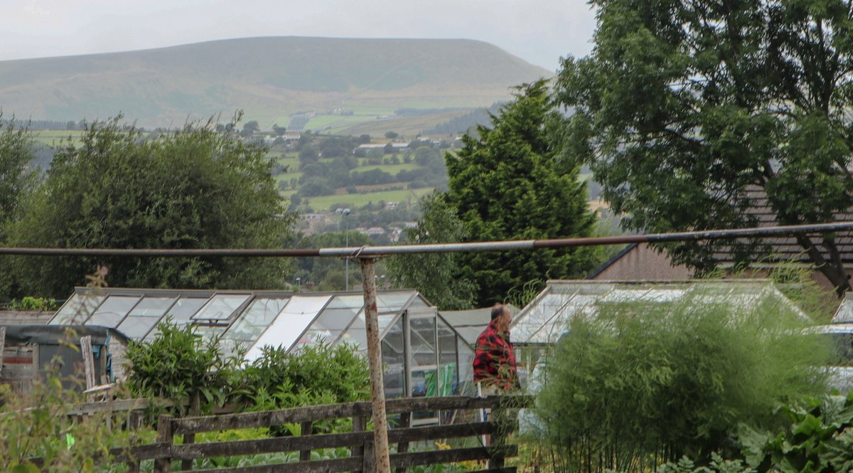 NelsonSave's tweet image. A few pics from our Open Day last Sunday #SaveNelsonCemeteryAllotments