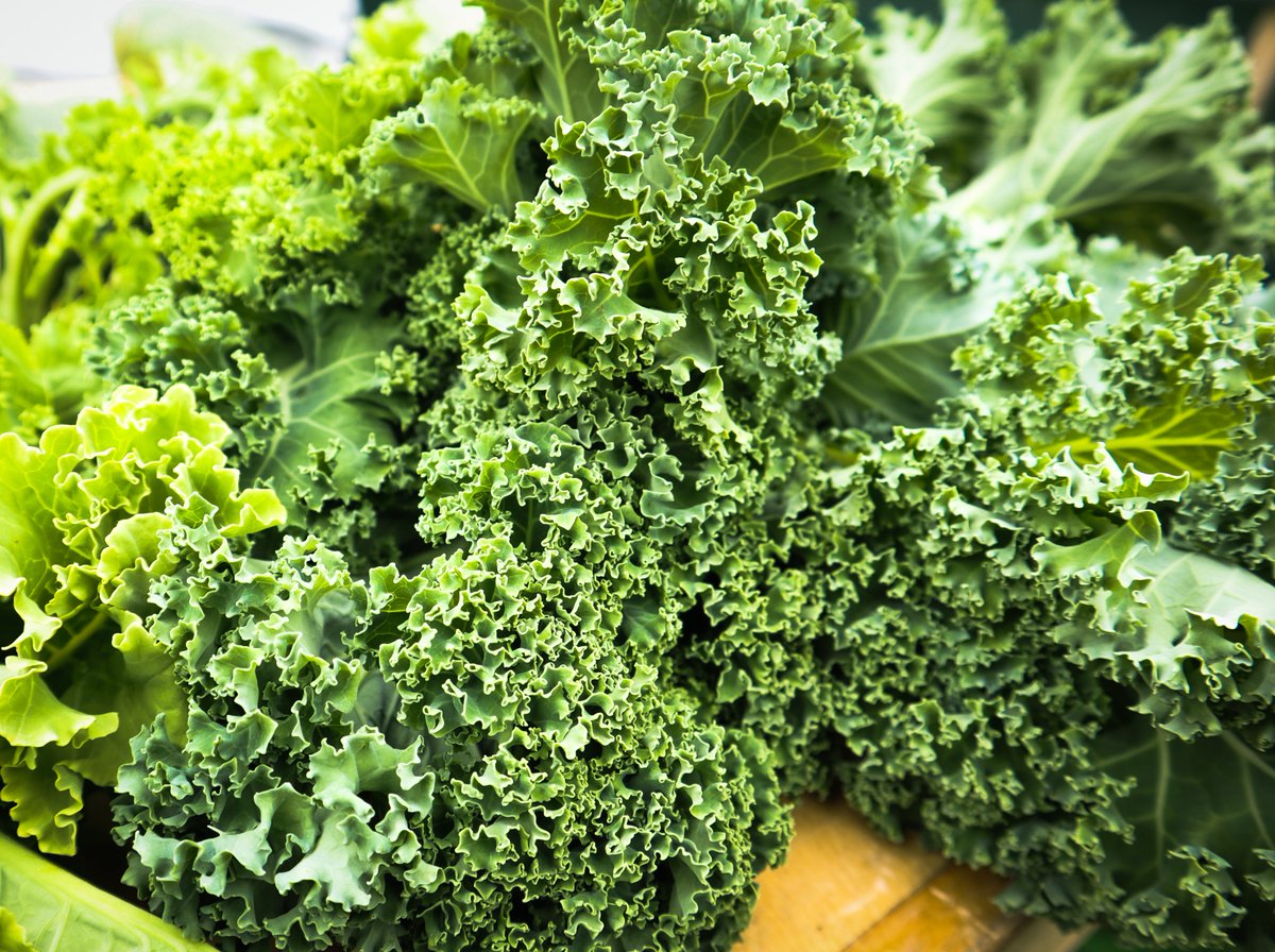 NelsonSave's tweet image. A few pics from our Open Day last Sunday Pt2 #SaveNelsonCemeteryAllotments