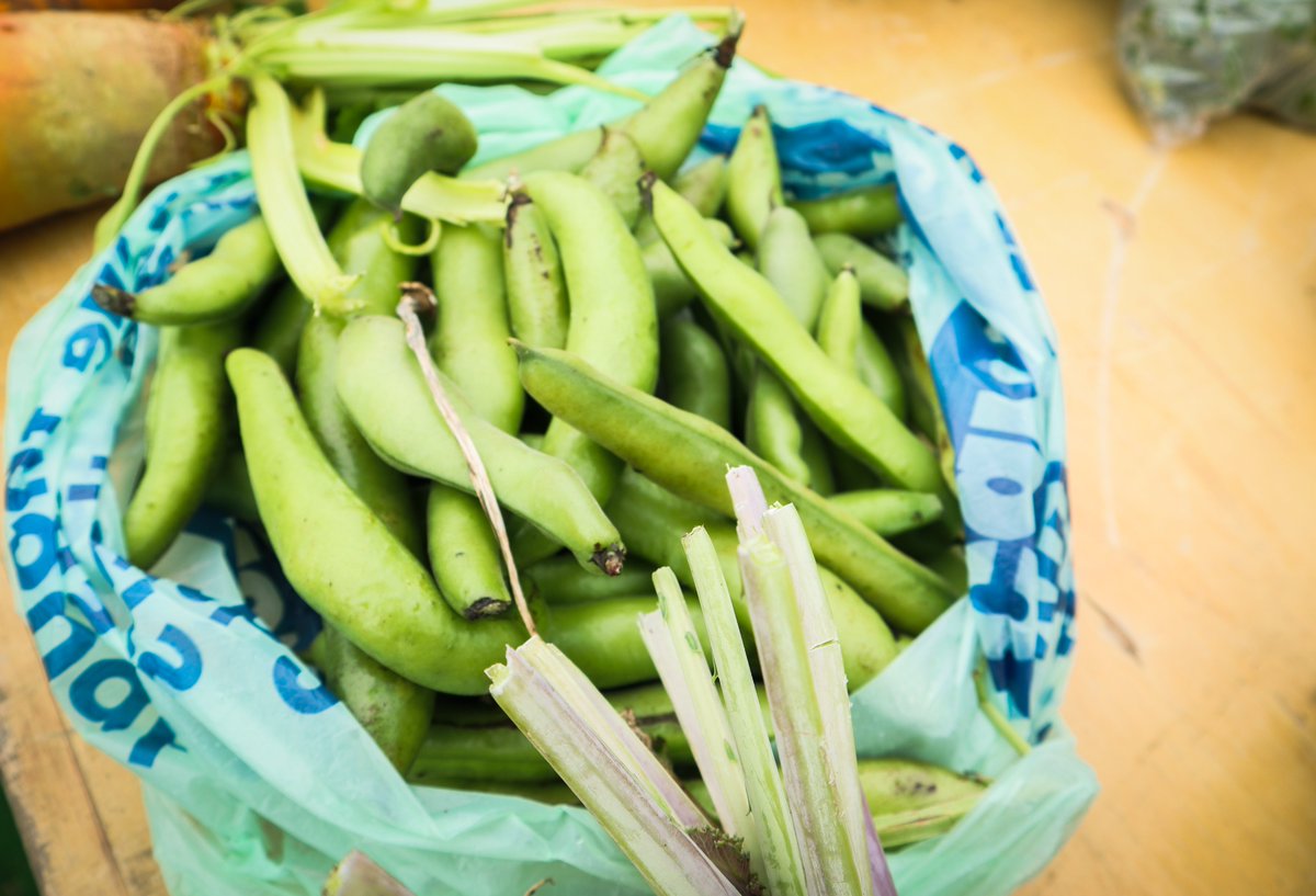 NelsonSave's tweet image. A few pics from our Open Day last Sunday Pt3 #SaveNelsonCemeteryAllotments