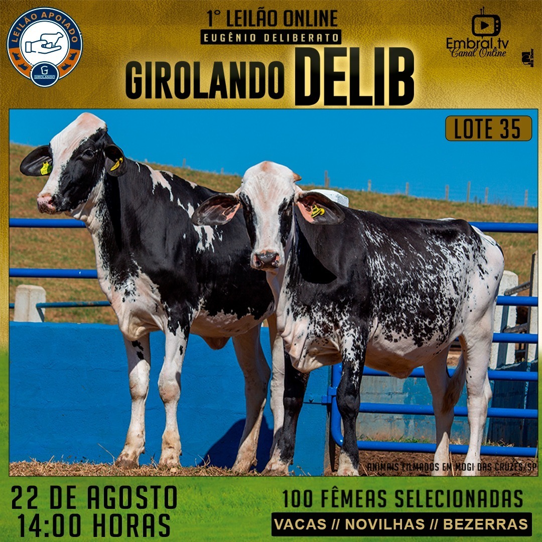 embralleiloes's tweet photo. 1º Leilão On Line Girolando Delib
22 de Agosto - 14 Horas
#embralleiloes #embral #embraltv #lideremgadodeleite #leilaoéaqui #girolando #girolandobrasil #vacadeleite #leite #leilao #leilaoonline #juntossomosmaisfortes #oagronaopara #leilaodegado #gado #embral41anos https://t.co/3qJZhEfa9D