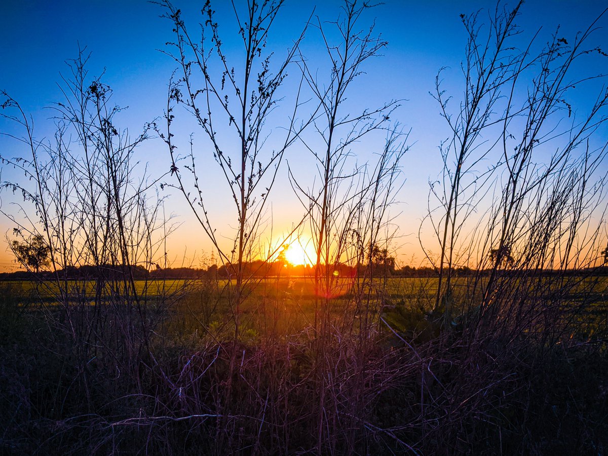 densworldnet's tweet photo. Lens flare appreciation 🌄

#lensflare #rosenheim #landscapephotography https://t.co/vzFULqQ2vl