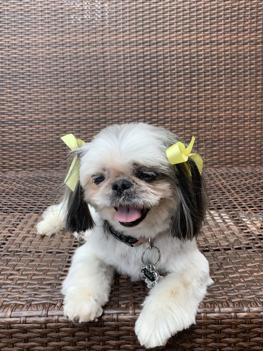 iamsameve's tweet photo. @CAM3R0NPH1L1P This is my baby 🥰 https://t.co/3lqOOIx6St