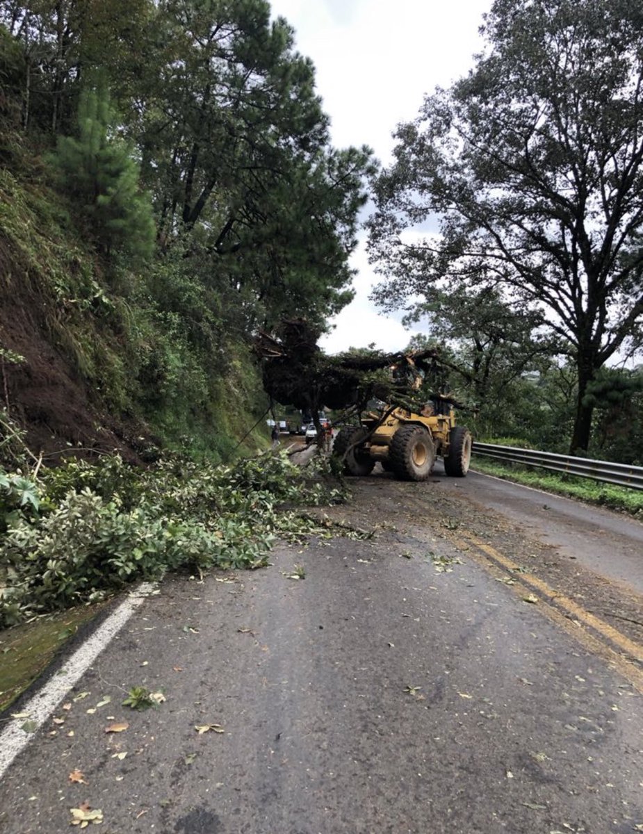SalvaFdezAyala's tweet photo. #Lluvias por remanentes de #HuracánGrace continúan y las cuadrillas de #ConservarEsPreservar de @SCT_mx de manera diligente prosiguen atendiendo incidencias menores del camino.#PrecaucionVial 👷‍♂️⛈🚗🚜. https://t.co/pwU7Pv5SwZ