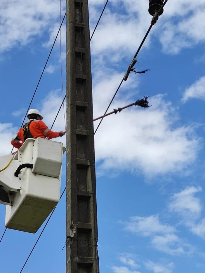 ElectricaQuito's tweet photo. Con #ConcienciaEnergética💡, el  grupo uno de #LíneasEnergizadasEEQ, realizó la instalación de puesta a tierras, mantenimiento integral de la franja de servidumbre y retiro de objetos extraños en la línea de transmisión Santa Rosa - Epiclachima.
#JuntosLoLogramos https://t.co/KGgIjt9KTi