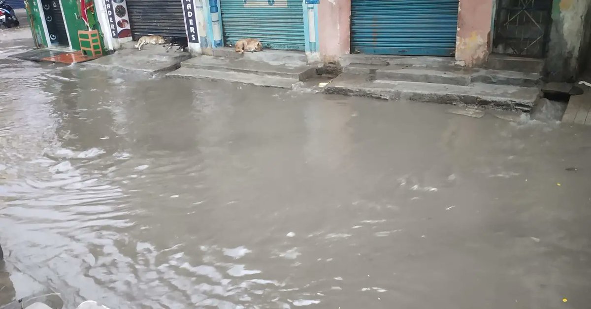 ilovemychittoor's tweet photo. Situation at Kummara Street Saibaba temple, way from Poniamman koil to Kummara street ..
@chittoormunici1 @Jmc_MLA @collectorctr @ChittoorPolice @reddeppa_MP
#swachhasurvekshan2022
#cdmaap
#Collectorctr
#swachhchittoor
#SwachhAndhra
#swachhabarathabiyan https://t.co/lkvoZwph97