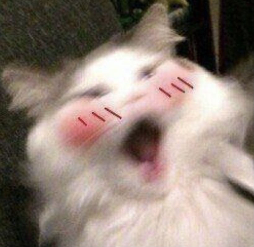 BitchxHQ's tweet photo. @Atsumufanatic Oh- https://t.co/68FB8smiJH