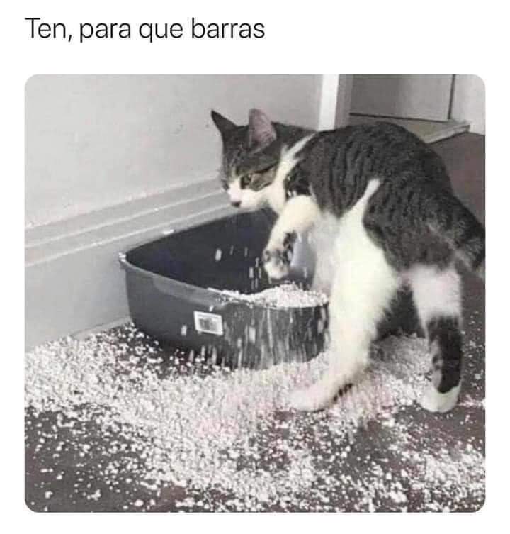SultanSoli's tweet photo. 😹 https://t.co/99L5itoYcS