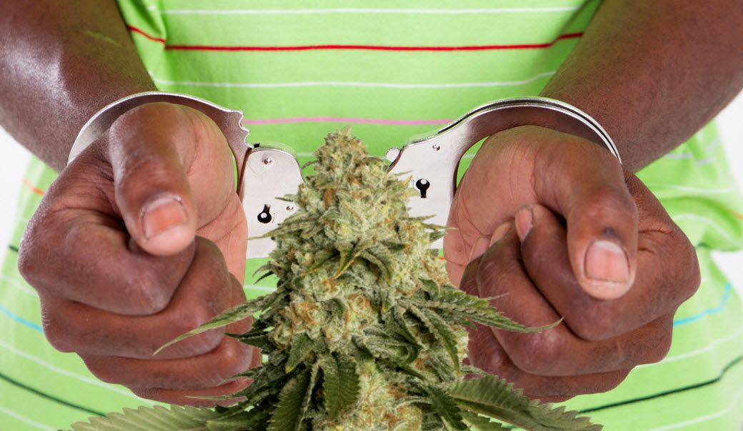 "It is often touted that in order to fight this inequality, the decriminalization of drugs, and in this specific case, the legalization of cannabis will help eliminate these racial disparities."
. 
. 
🌱 💚 buff.ly/3fjr76M