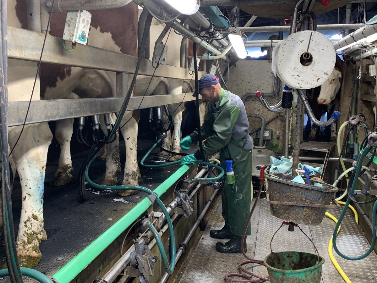 Pensées aux éleveurs qui traient leurs vaches ce dimanche soir pour nourrir les Français ainsi qu’aux agriculteurs qui n’ont toujours pas pu finir leur moisson ou leur foin à cause de la pluie.