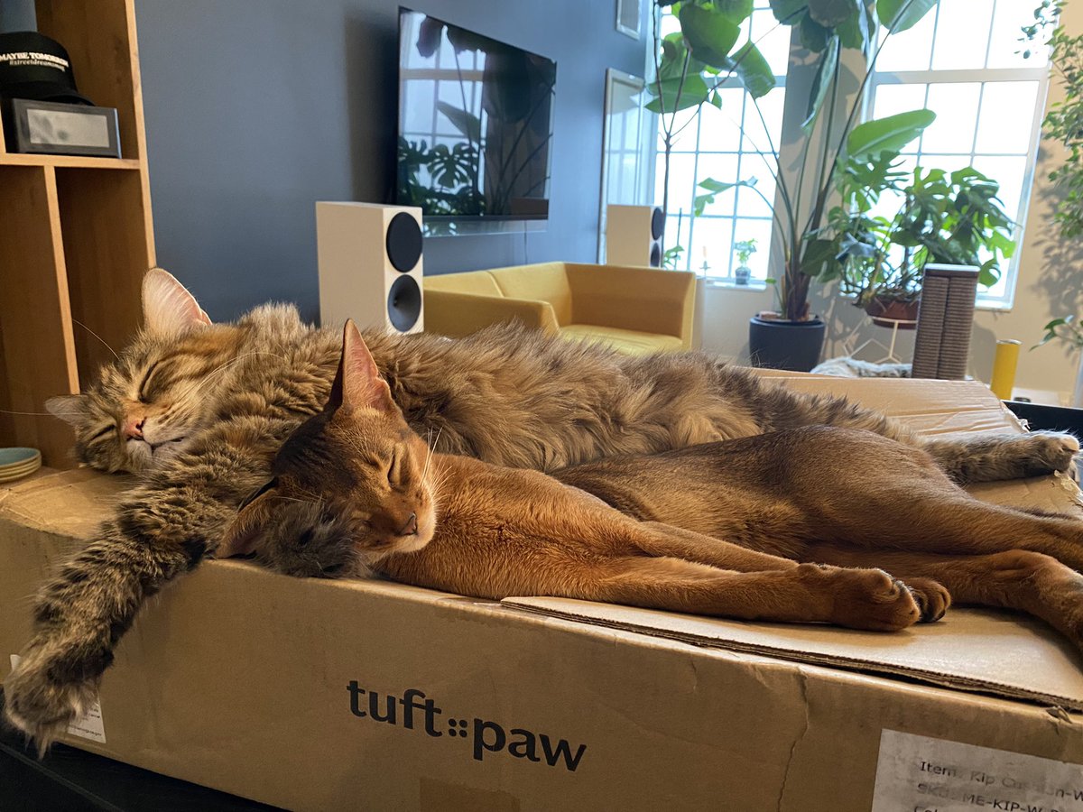 My god, these two are too much