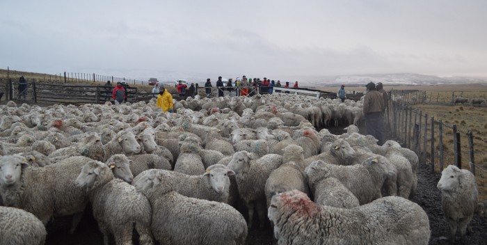 En conmemoración a los festejos del 86° aniversario de la fundación de la ciudad de Rio Mayo, el intendente de Lago Puelo, <a href="/SanchezPuelo/">Augusto Sánchez</a>, saluda afectuosamente a vecinas y vecinos de esta hermosa localidad chubutense.