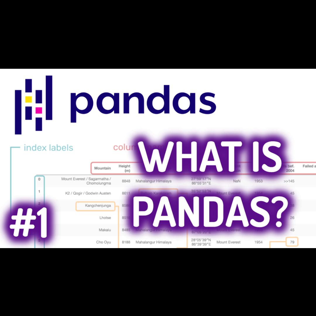 Code_ot_Future's tweet image. We&apos;re starting our Python Pandas Beginner Tutorial Series!! 

Check out our latest video by clicking the link below or hitting the link in our bio!👇
youtube.com/watch?v=AeMlIA…

#coding #womenwhocode #python #programming #code #learntocode #freetutorials #tutorials #womenintech