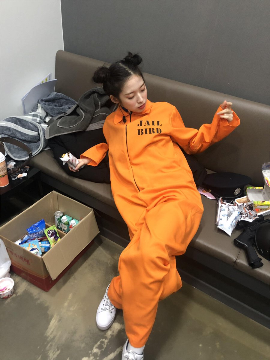 aringothic's tweet photo. oh godammit , the jail bird reference is cute tho https://t.co/q0CwrA1YN2