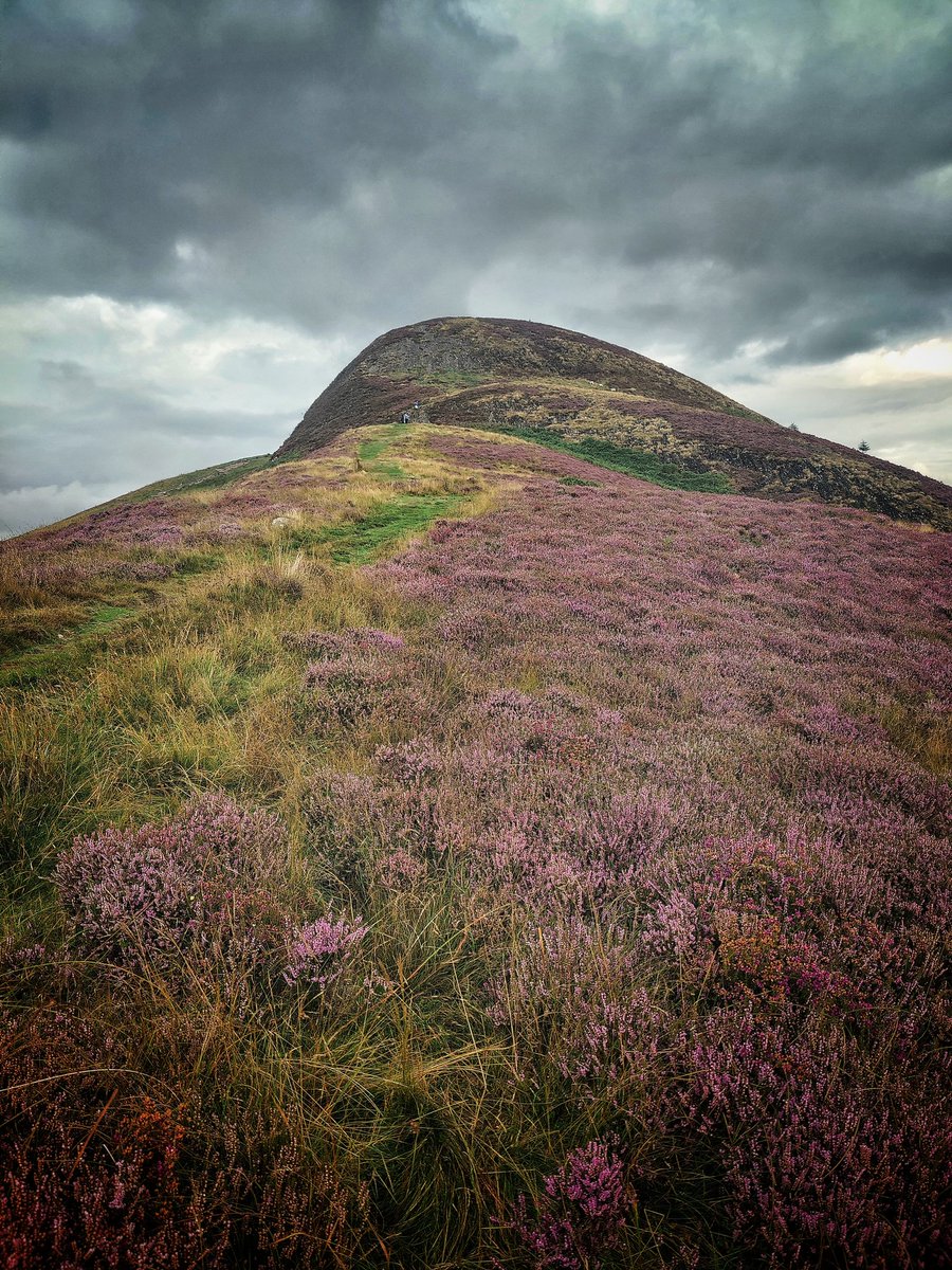 Tae_the_north's tweet photo. Bonus Conic today ....#haimtime https://t.co/gRIgKSZIgl