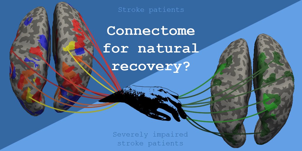 Koch et al. apply computational approaches to the structural whole brain connectome in stroke to identify (1) features that predict whether individual patients will show natural recovery, and (2) the distributed networks relevant to such recovery. bit.ly/3B4qI0e