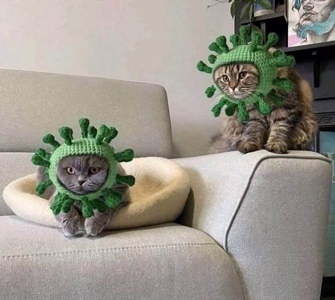 avan_ev's tweet image. Too much?