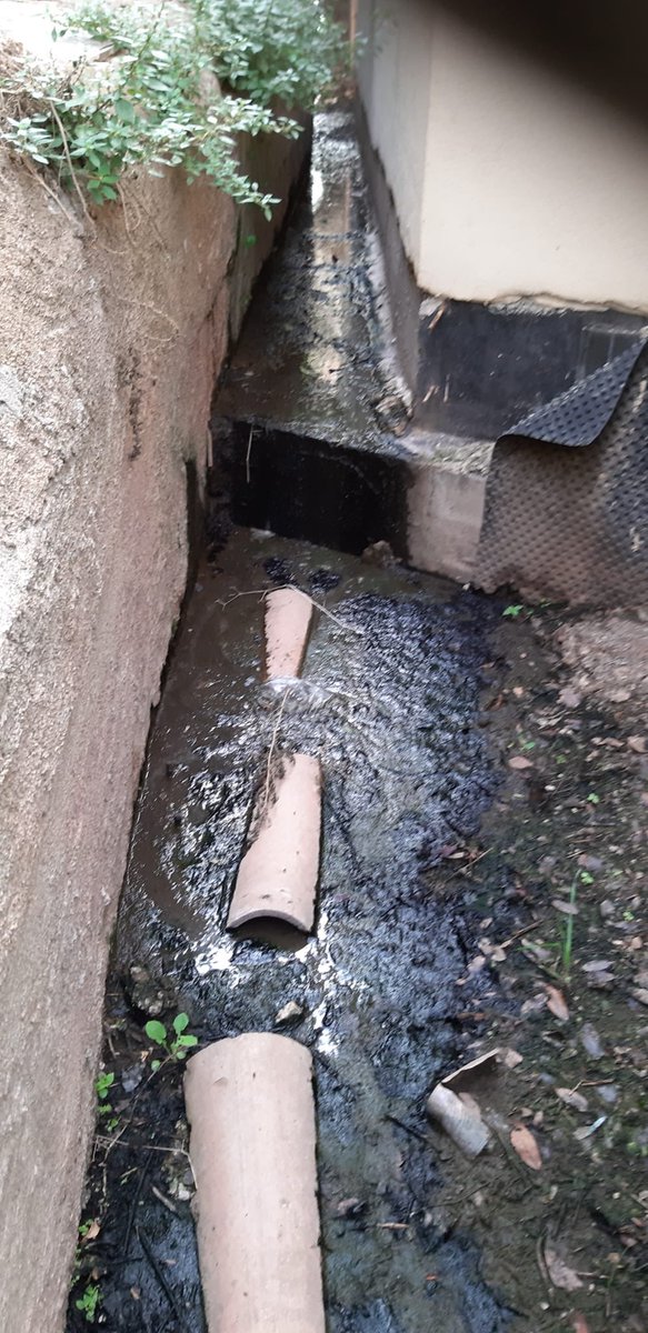 silviabrujas's tweet photo. @el9nou @tv3cat @AjMoia  @CatalunyaRadio indignant la falta d’atenció als veïns de Les Faixes de Moià per part de les institucions. Porten tot l’estiu demanant solucions al problema d’aigües residuals que es vessen als patis d’aquests. Un estiu ple de plagues de rates, mosquits.. https://t.co/37WyLMJmuE