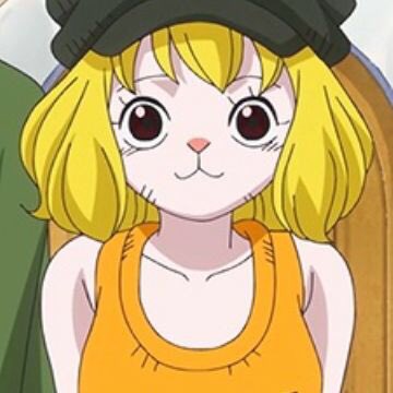 Dragonfruit778's tweet photo. The characters I want to join the crew with an actual chance #carrot #yamato #onepiece I also want bon clay to join but I feel like he won’t get the chance to #bonclay https://t.co/1xNARgU4nP