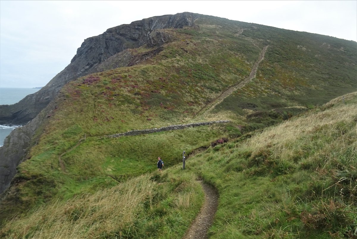 BevHunt72's tweet photo. So today's #Walk5 of 55 for #OneMedicine @HumanimalTrust started at #Morwenstow #Cornwall and it was a toughie as it took my sister and I up energy sapping ascents and tricky descents too....
https://t.co/9UUUGXoP5Q https://t.co/WWhkgKzyTQ